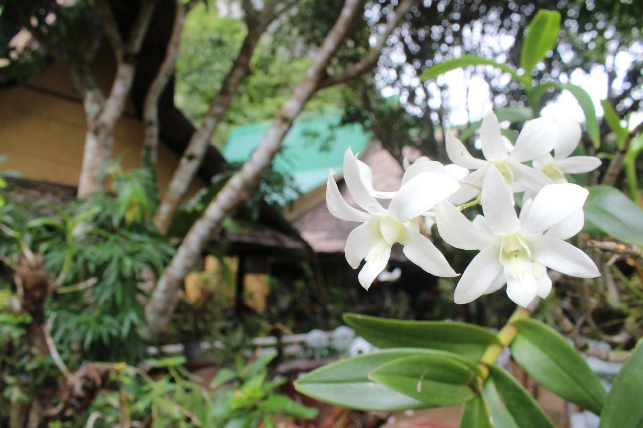 悬崖边小屋宾馆 爱妮岛 外观 照片