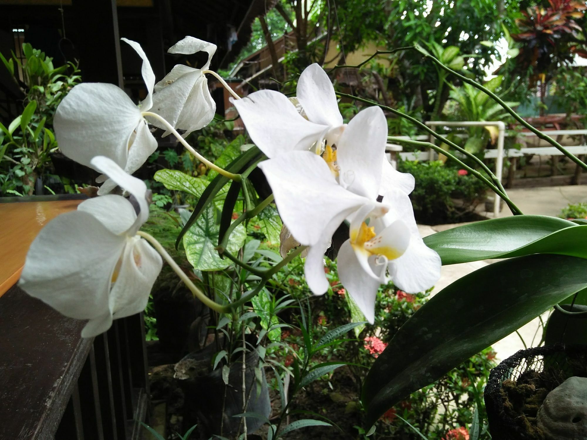 悬崖边小屋宾馆 爱妮岛 外观 照片